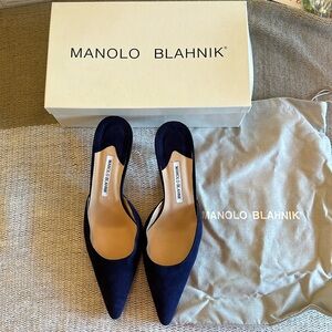 Manolo Blahnik Kitten Heel Suede Shoe